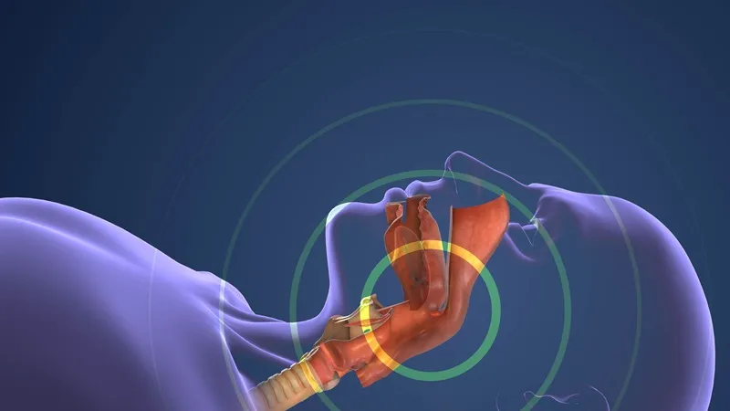 3D illustration of a person's respiratory system. Circles are radiating out from the center of the respiratory system.
